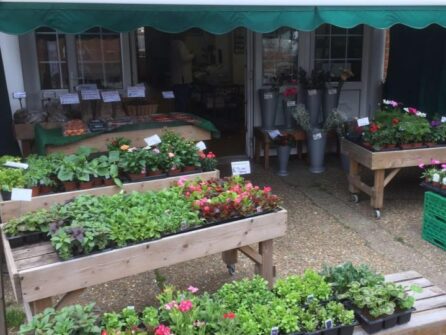 Chris-Fruit-Veg-and-Flowers-720x540